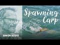 The truth behind spawning carp  simon scott