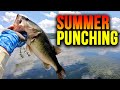 NEVER Used a PUNCH Rig?  (WHY Flipping just Catches BIGGER Fish!!!)