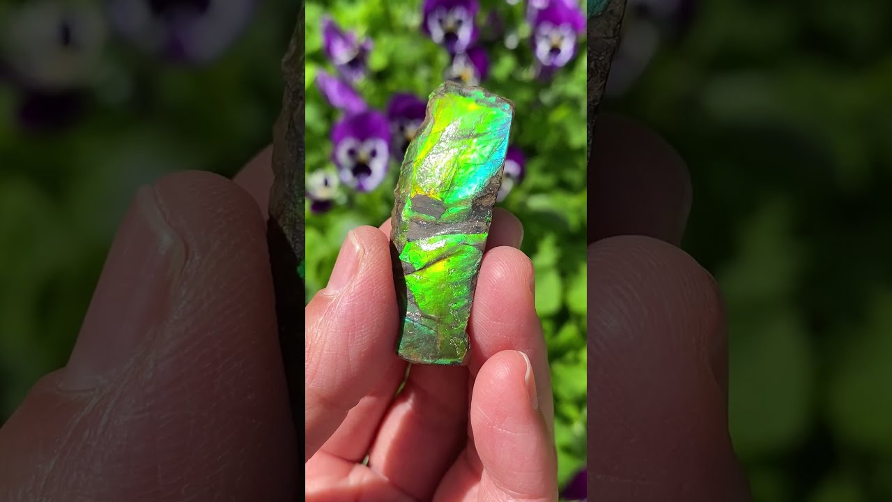 アンモライト 原石 虹色の輝き カナダ産 化石宝石 一点物 天然石