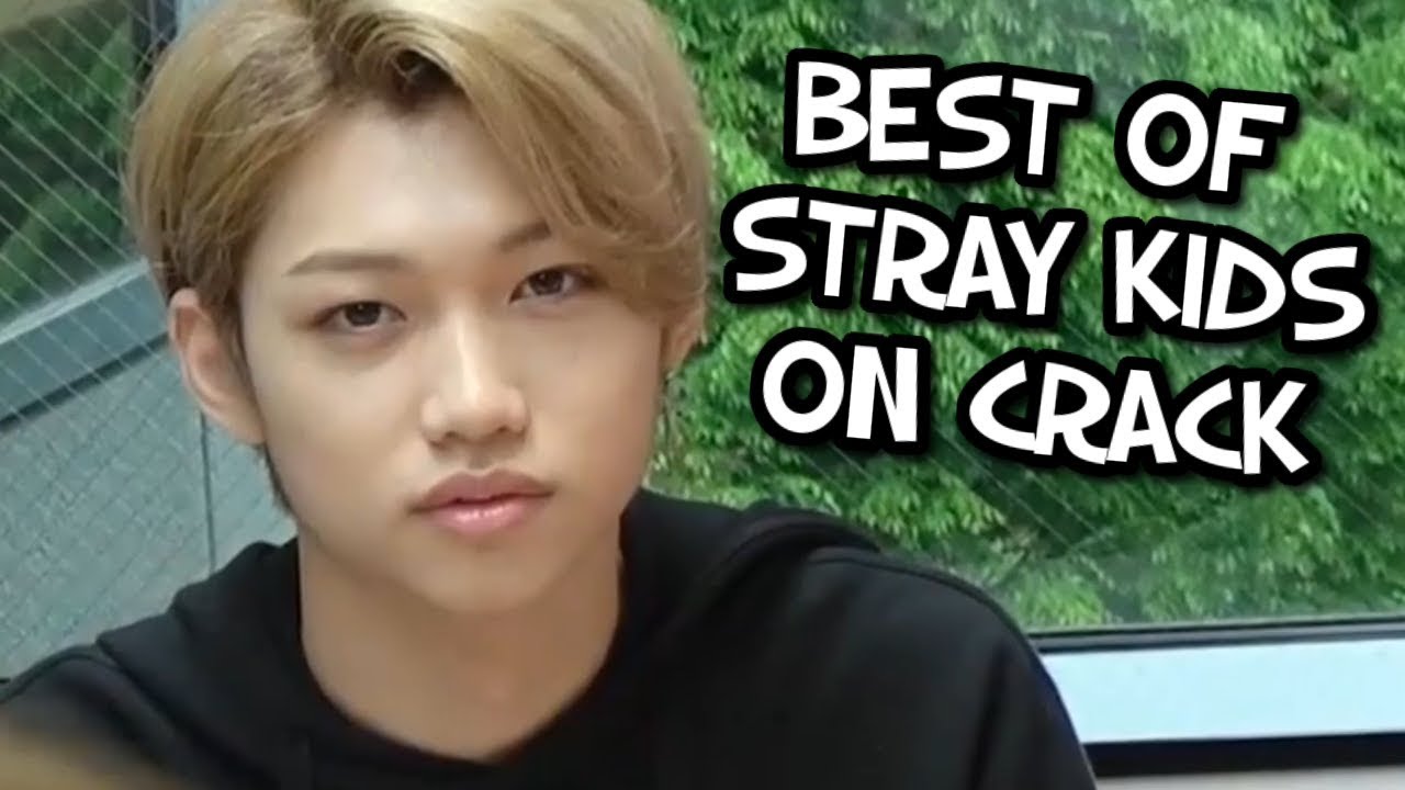 BEST OF STRAY KIDS ON CRACK (#1-15)