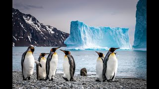 Climate Change Speeding Up in Antarctica