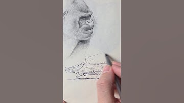 One-Minute Creature Design Challenge