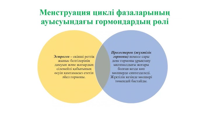 BDSM-дегі бисексуалдардың фотосуреттері