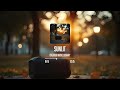 SUNLIT | Folk | Creator Music Library - Copyright Free Music