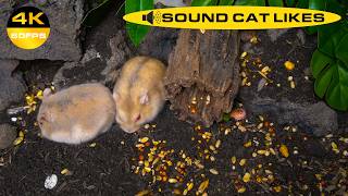 4K CAT TV 🐭 Submarine Odyssey: Glowing Portholes & Deep Sea Rodent Fun