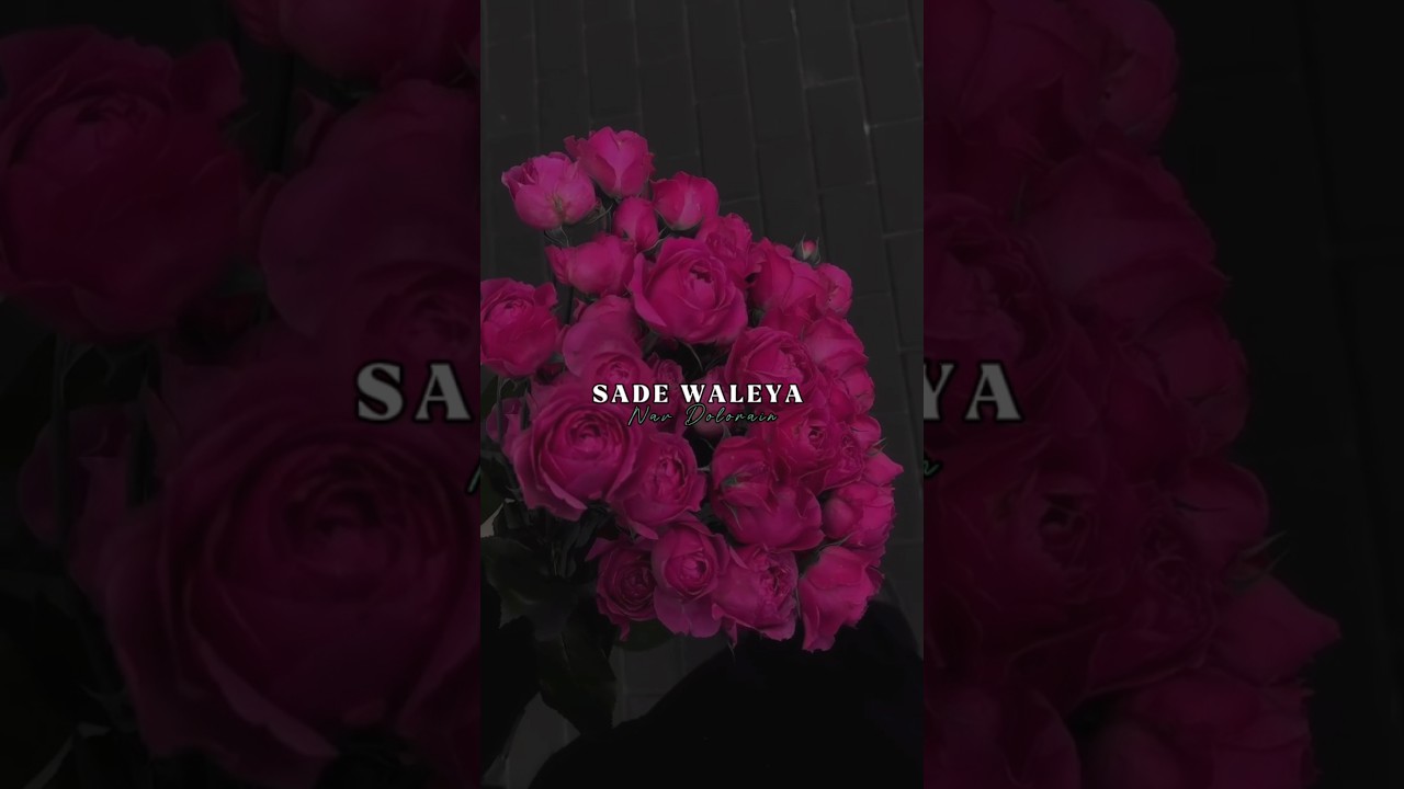 Sade Waleya .. Nav Dolorain .. Lyrics WhatsApp status .. Fullscreen Status .. 