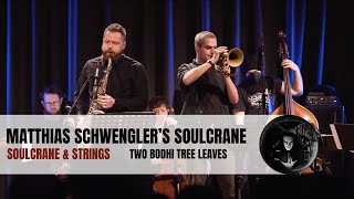 Matthias Schwengler - Two Bodhi Tree Leaves (Soulcrane & Strings)