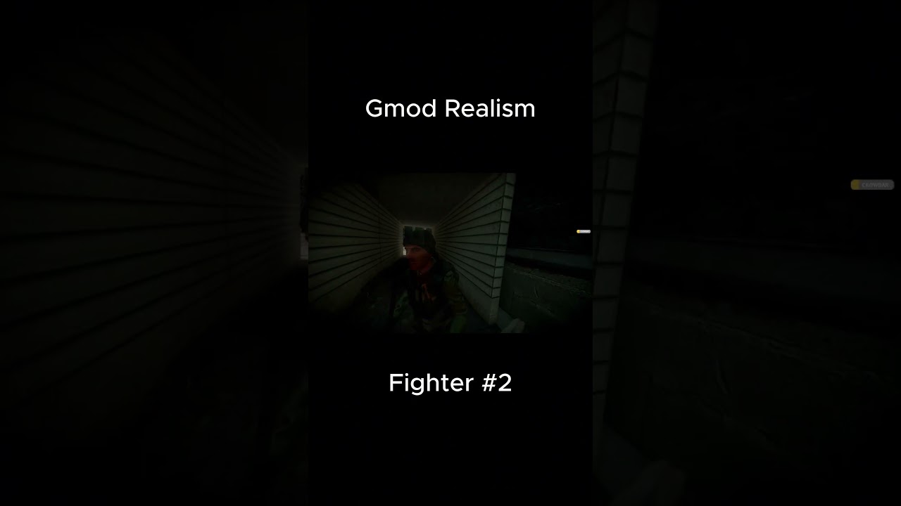 Gmod Realism - Fighter №2 