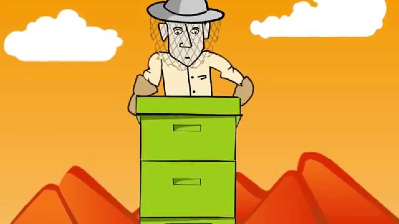 HiveAlive™: complemento nutricional para abejas