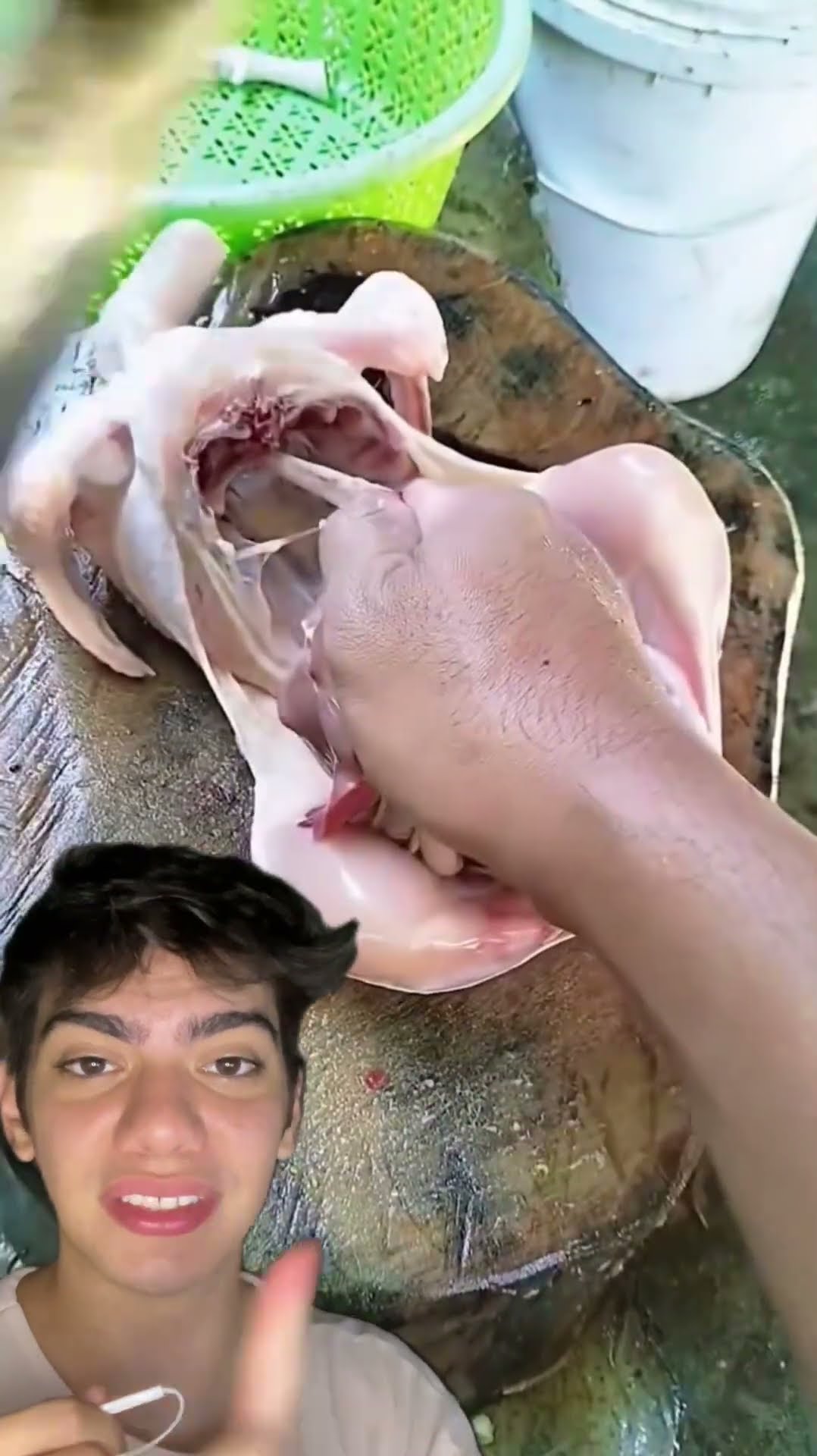 ? Limpando frango do jeito certo: corte, abra e limpe fácil! Você fazia assim?