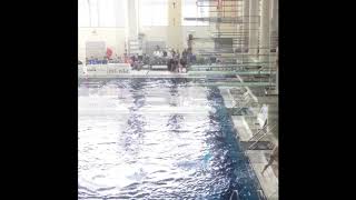 Seabass 3m Prelims  2018 USA Diving Nationals Georgia Tech