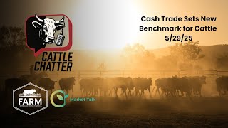 Cash Trade Sets New Benchmark for Cattle | 5/29/25 Cattle Chatter