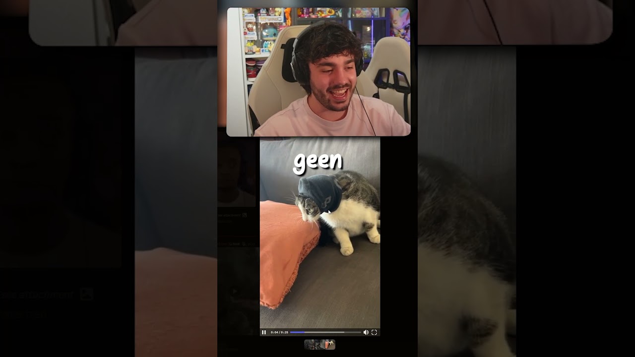 DEZE KAT IS VEEL TE DIK!! 🫃🏻🐱😂 #meermika #nederlands #gaming #stream