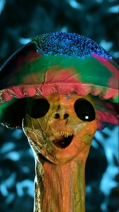 magic mushroom stories