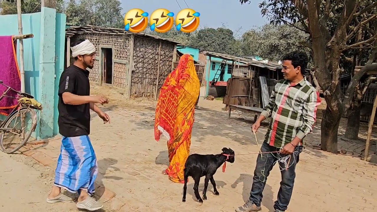 bakhri paikar and bakhri wali🤣🤣🤣🤣