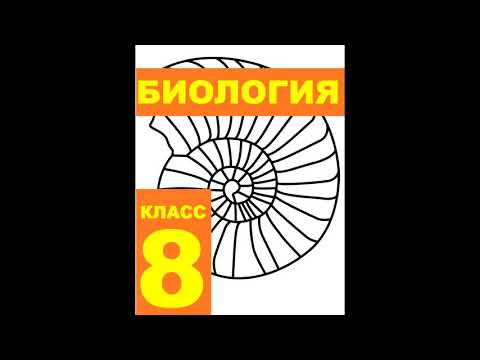 § 13 Внутренняя среда организма: состав и  функции