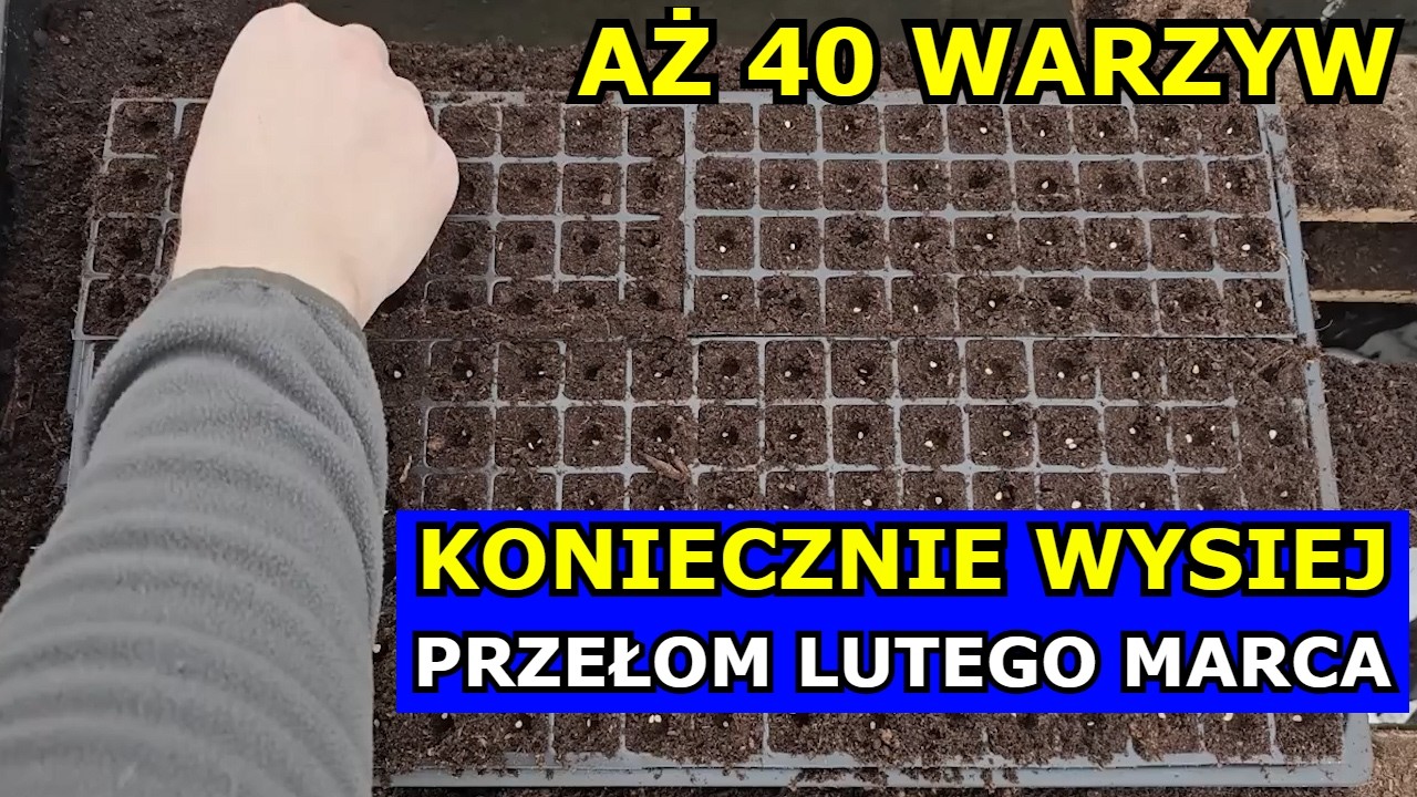 KONIECZNIE Wysiej te Warzywa Przełom Lutego i Marca. Co siać sadzić w Lutym Marcu Kalendarz Marzec.