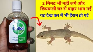 छिपकली भगाने का ऐसा जादुई नुस्खा जिसे देखकर आप भी हैरान हो जाएंगे/how to get rid lizard