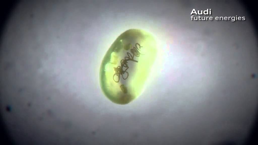 Audi future lab mobility