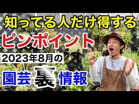 8月の庭仕事、アッパーミッドウェストで今すぐやるべきこと5選