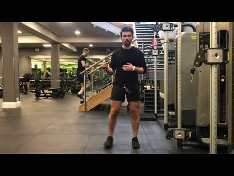 Cable External Rotation Isometric With Lateral Step
