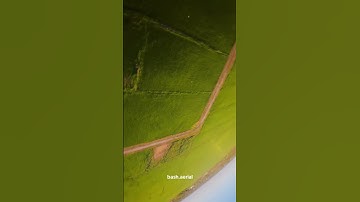 Outrun the birds with GEPRC VAPOR-D5, with the visual clarity of DJI O4 Pro 🔥 #fpv #geprc #dji