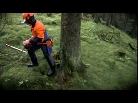 Explore the new Husqvarna 560 XP®