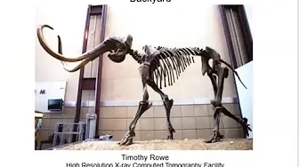 A Surprise Encounter with 37,000-Year-Old Mammoths in My Backyard