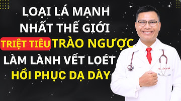 KỲ DIỆU! DÙNG 1 LÁ NÀY TRIỆT TIÊU TRÀO NGƯỢC DẠ DÀY, Ợ NÓNG – LÀM LÀNH VẾT LOÉT VÀ HỒI PHỤC TỪ GỐC