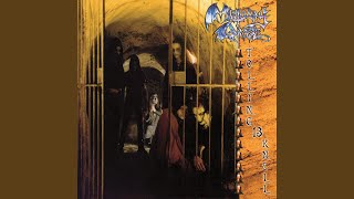 Birth`s End - Mortuary Drape