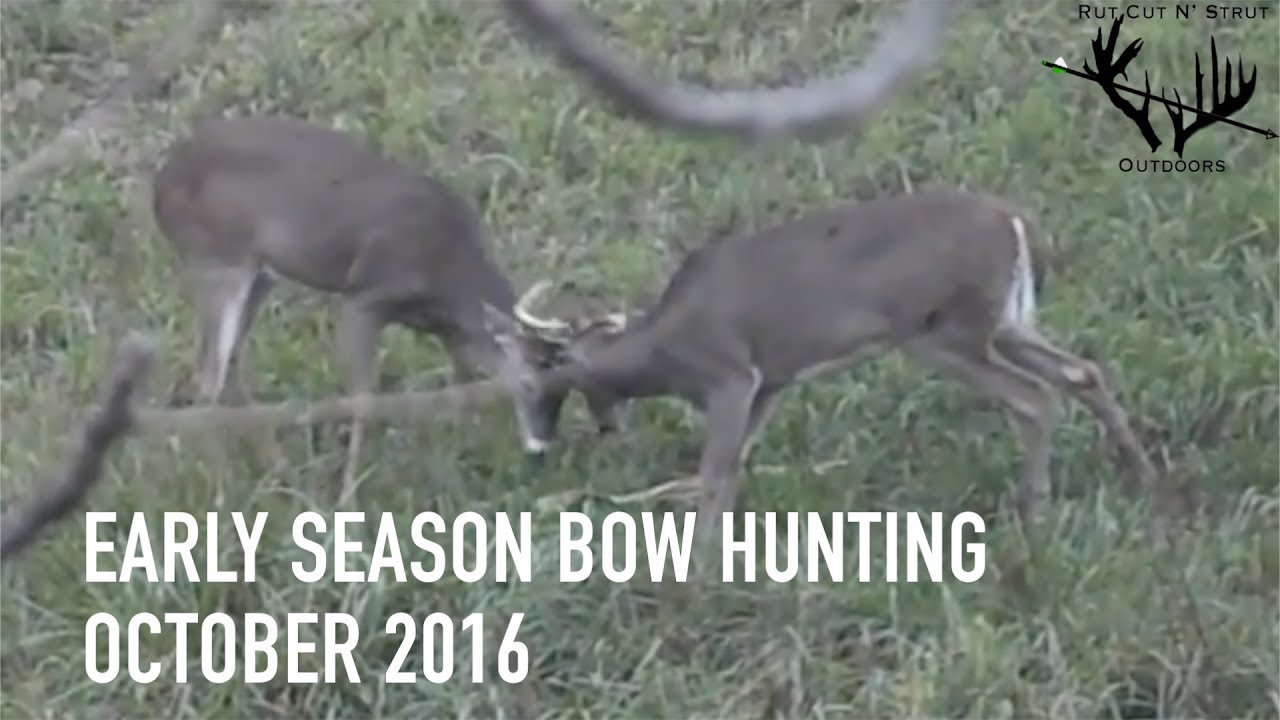 Iowa Bow Hunting Early season 2016 YouTube