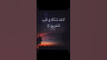 إنا نحن نزلنا الذكر وإنا له لحافظون - من سورة الحجر  أجمل تلاوات هزاع البلوشي تكملتها في صندوق الوصف