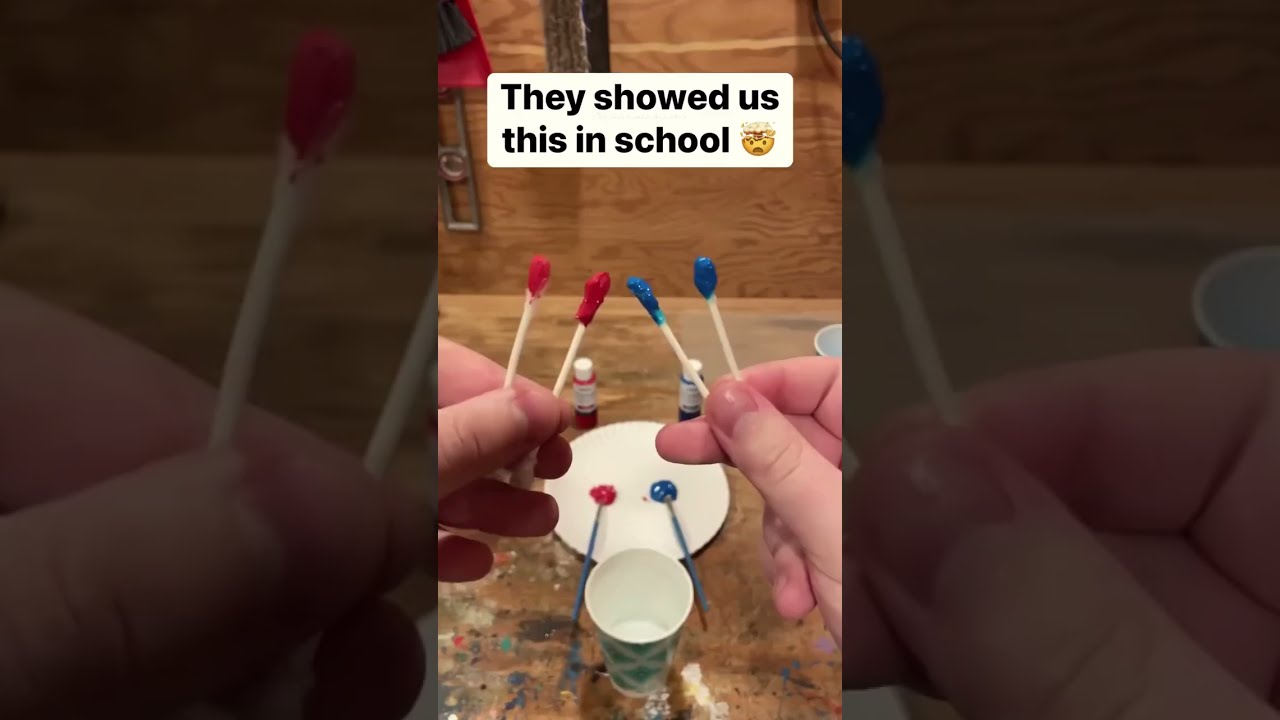 They Showed Us This In School Carlifehacks Funny Reallifehacks Automobile Memes