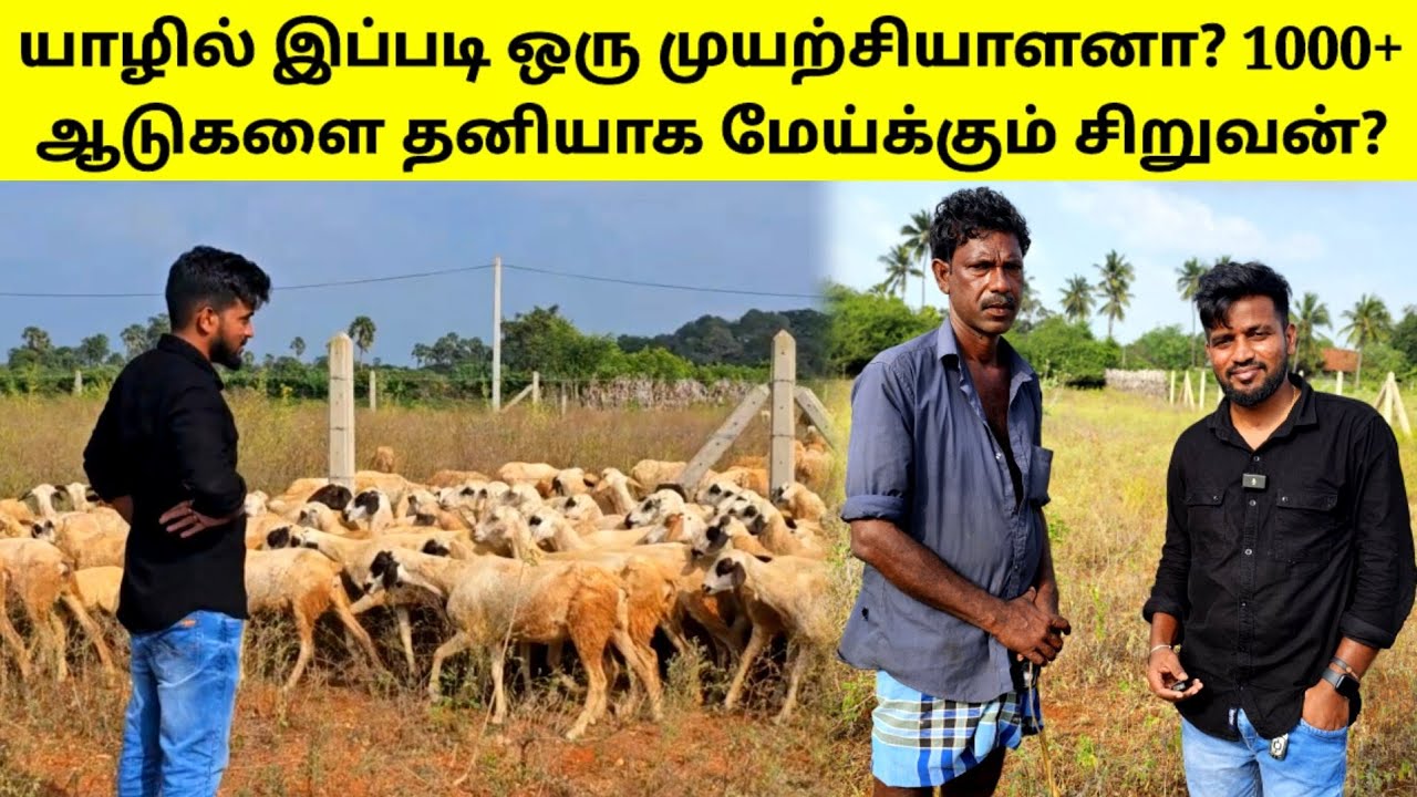 வாழ்க்கையே அர்ப்பணிச்சா மட்டும் தான் இந்தத் தொழில் செய்யலாம் | Tamil| SK VIEW