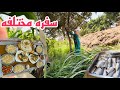 لازم كل يوم نغير فى الاكل ملقيناش غير اكله سمك 🐟 ربنا يتم فرحتنا على خير