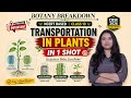 TRANSPORTATION IN PLANTS | LIFE PROCESSES | CLASS 10, NEET | NCERT | BIOLOGY | BOTANY BREAKDOWN |