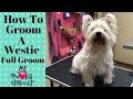 How to Groom a West Highland White Terrier の動画、YouTube動画。