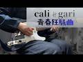 cali&ne;gari - 青春狂騒曲 [guitar cover]