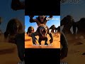 I turn into a sand in the desert pt3