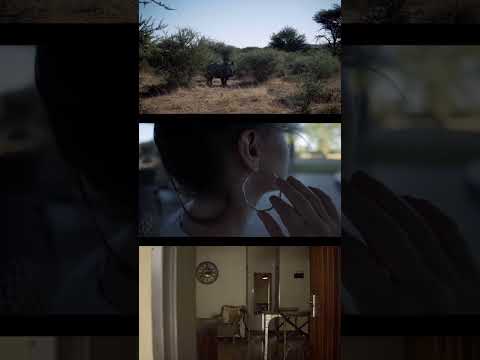 Otjiwa game lodge