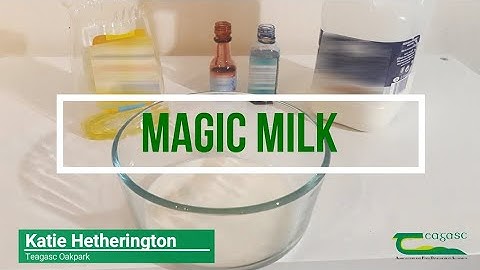 Science Experiments at Home - Magic Milk