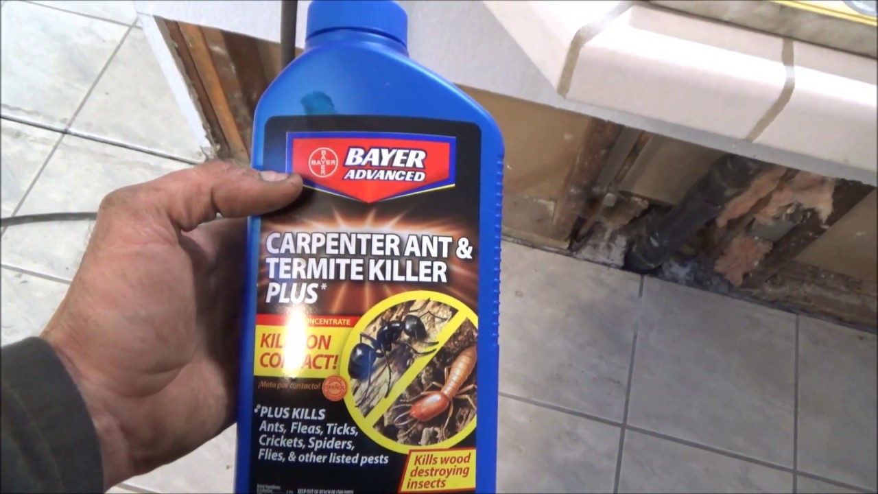 Repairing Termite Damage in a Slab Foundation YouTube