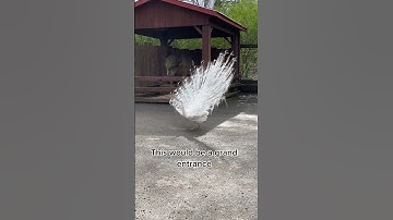 Exotic peacock strutting in style! #exotic #exoticbird #peacock #metgala