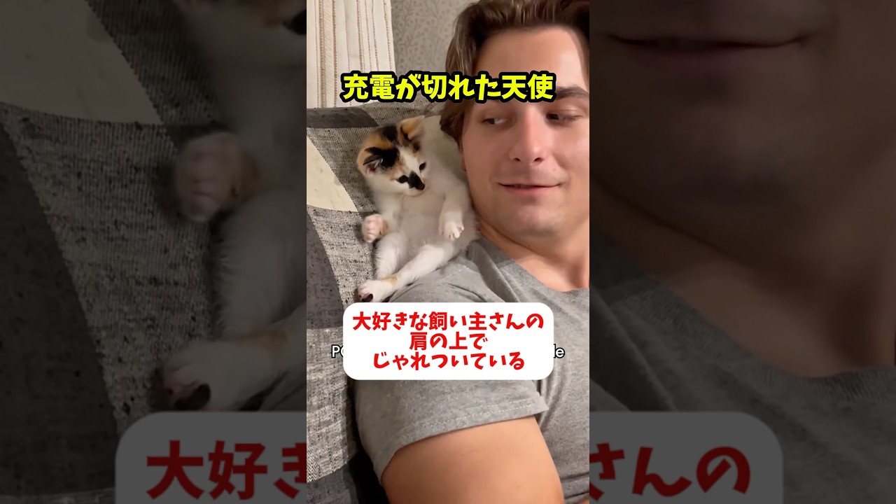 充電が切れた天使