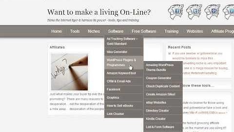 what to do with a blog plugin conflict on wordpress
