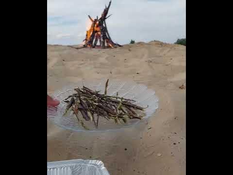 Рыба горячего копчения без коптилки и опыта - YouTube