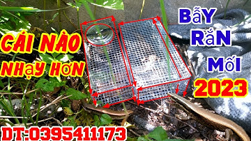 TEST * cận cảnh * hai mẫu , bẫy rắn mối năm 2023 để phân biệt nhất, và nhì.