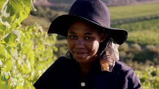 Wines Of South Africa  Welcome To Our World Of Discovery