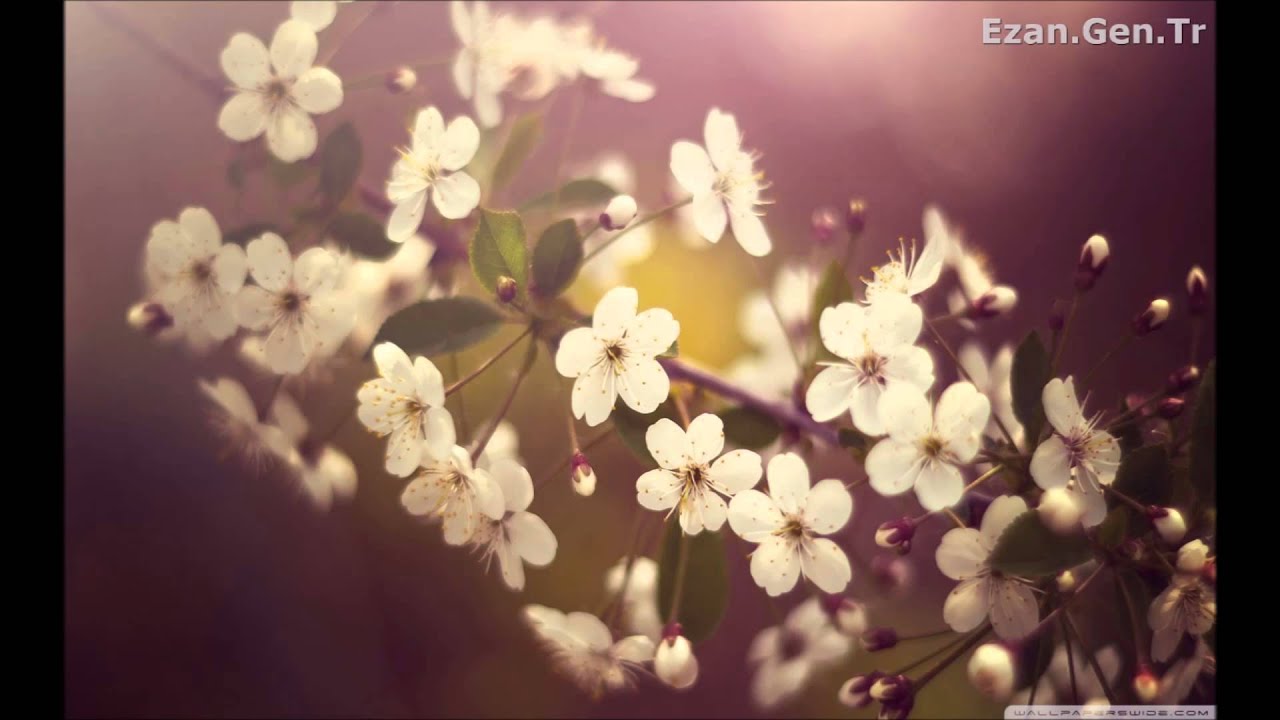 Ebubekir ATALAY Uşşak Makamında Ezan