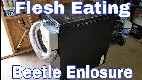 (Flesh Eating Beetles) How To Make a Dermestid Beetle Enclosure(Cage) using a Chest Freezer